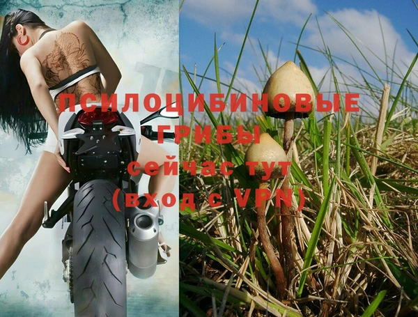 spice Заволжск