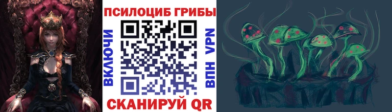 Галлюциногенные грибы Psilocybe  Купить  Ишимбай 